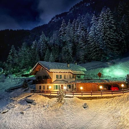 Cesa Vedla - Quite And Cozy Alpine Escape Ortisei Ngoại thất bức ảnh