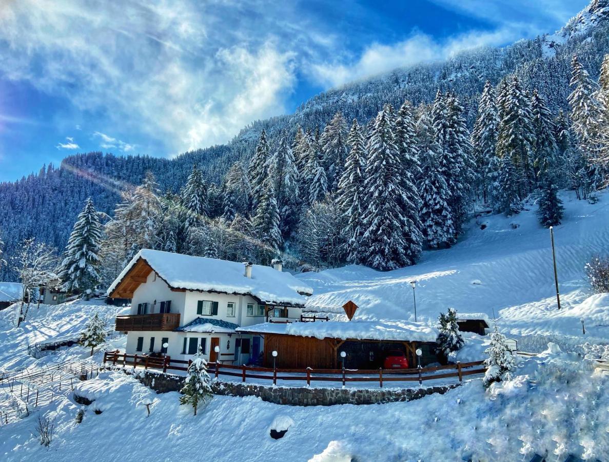 Cesa Vedla - Quite And Cozy Alpine Escape Ortisei Ngoại thất bức ảnh