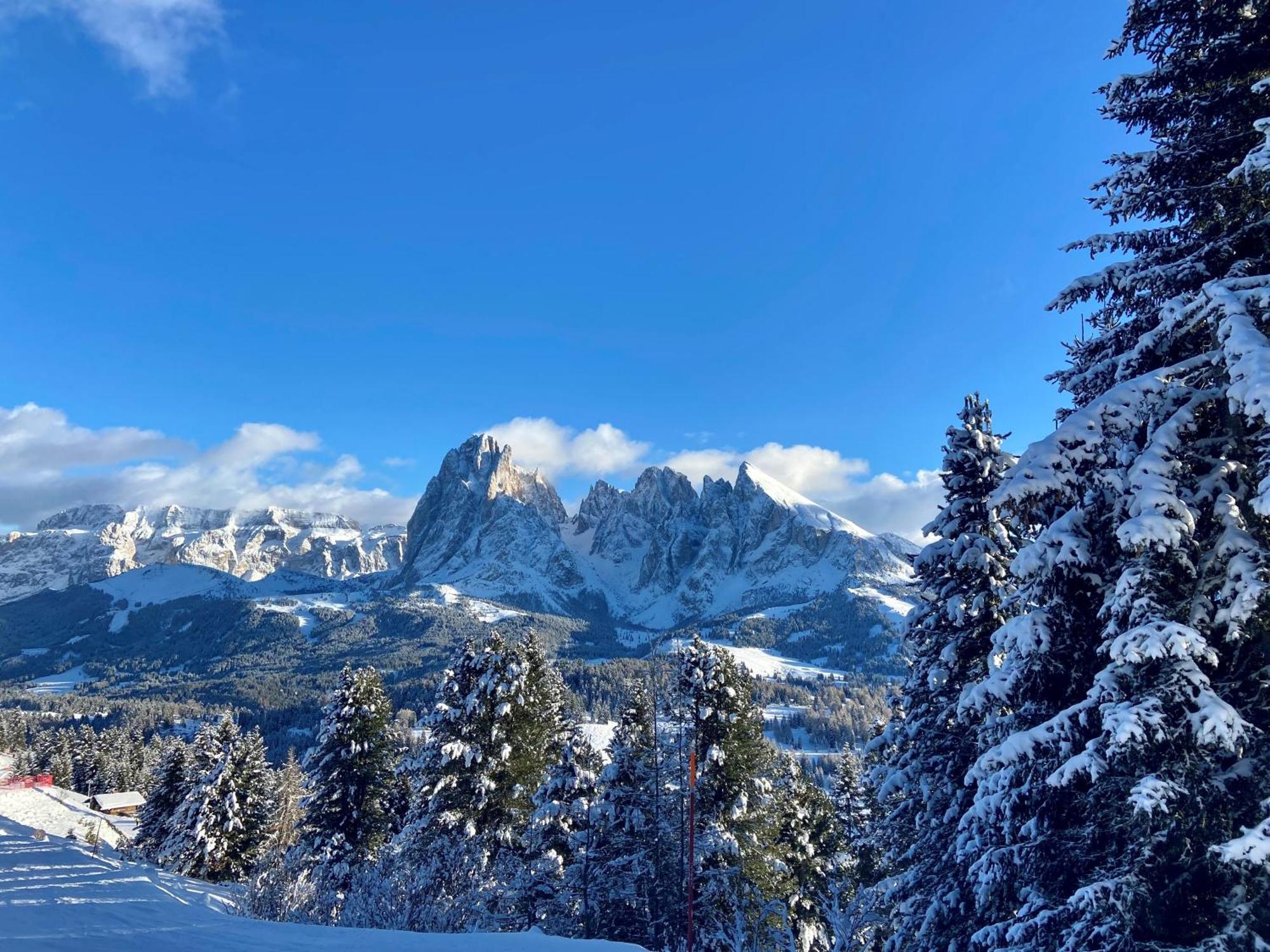 Cesa Vedla - Quite And Cozy Alpine Escape Ortisei Ngoại thất bức ảnh