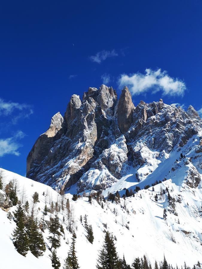 Cesa Vedla - Quite And Cozy Alpine Escape Ortisei Ngoại thất bức ảnh
