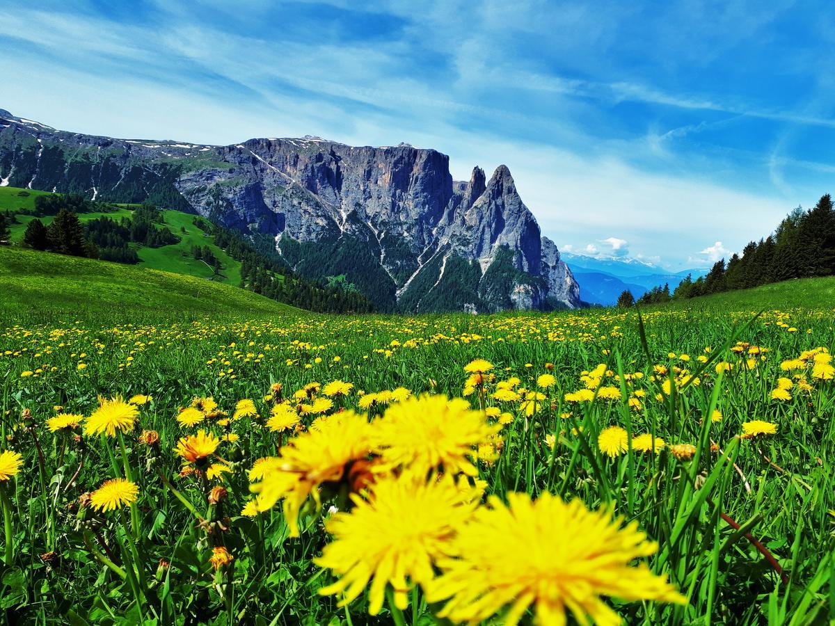 Cesa Vedla - Quite And Cozy Alpine Escape Ortisei Ngoại thất bức ảnh