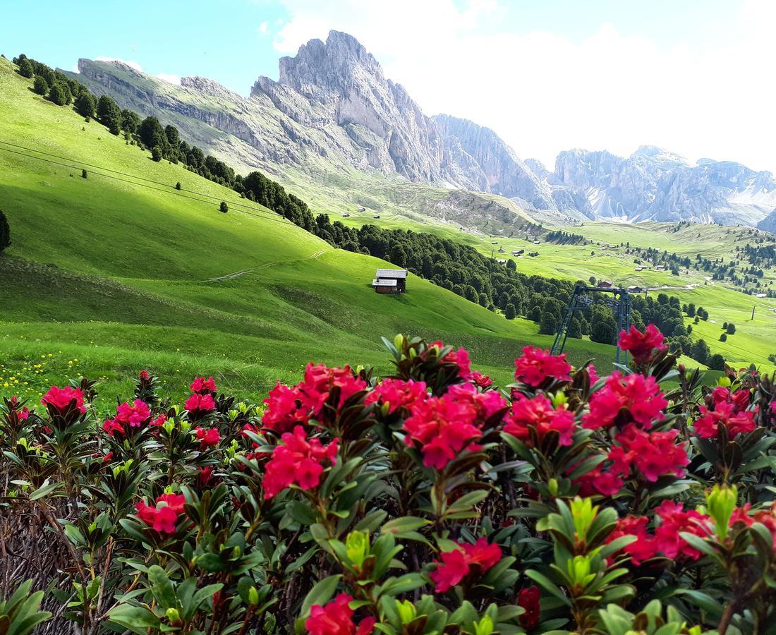Cesa Vedla - Quite And Cozy Alpine Escape Ortisei Ngoại thất bức ảnh